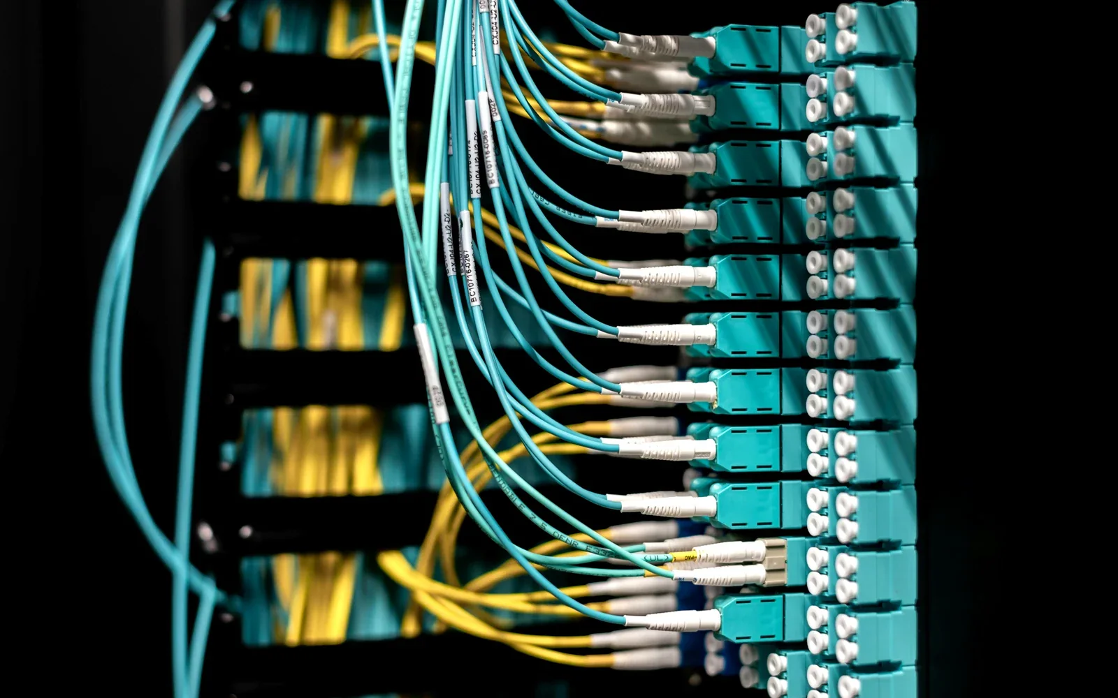 Tidy labelled patching in a comms cabinet